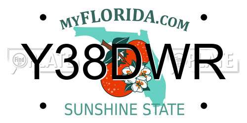 Y38DWR Florida License Plate