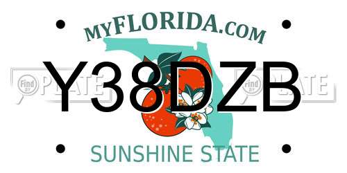Y38DZB Florida License Plate