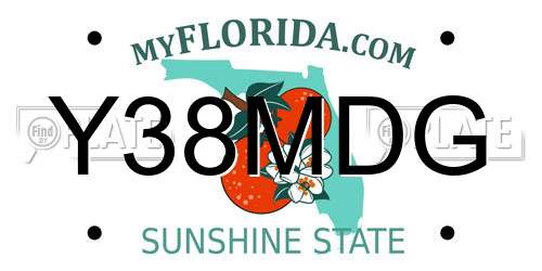 Y38MDG Florida License Plate