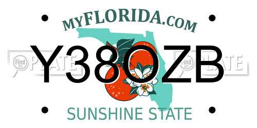 Y38OZB Florida License Plate
