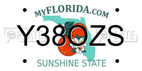 Y38OZS Florida License Plate