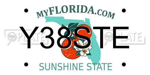 Y38STE Florida License Plate