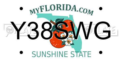 Y38SWG Florida License Plate