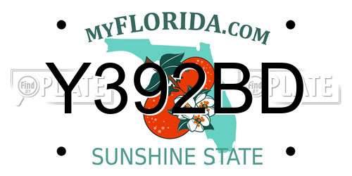 Y392BD Florida License Plate
