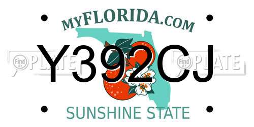 Y392CJ Florida License Plate