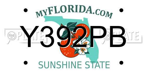 Y392PB Florida License Plate