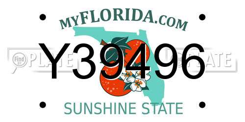 Y39496 Florida License Plate