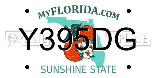 Y395DG Florida License Plate