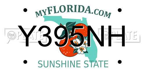 Y395NH Florida License Plate