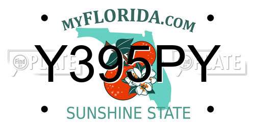 Y395PY Florida License Plate