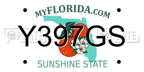 Y397GS Florida License Plate