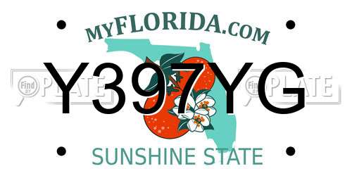Y397YG Florida License Plate