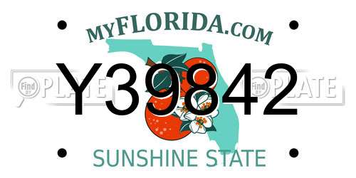 Y39842 Florida License Plate