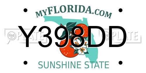 Y398DD Florida License Plate