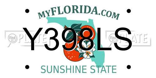 Y398LS Florida License Plate