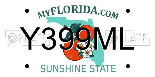 Y399ML Florida License Plate