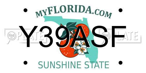 Y39ASF Florida License Plate