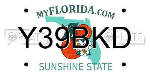 Y39BKD Florida License Plate