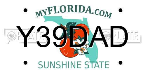 Y39DAD Florida License Plate