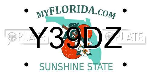 Y39DZ Florida License Plate