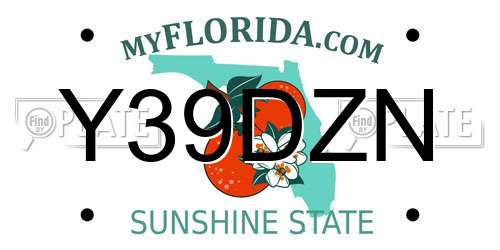 Y39DZN Florida License Plate