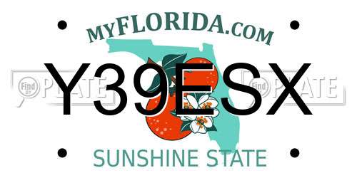 Y39ESX Florida License Plate