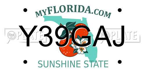 Y39GAJ Florida License Plate