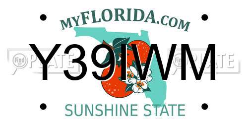 Y39IWM Florida License Plate