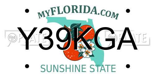 Y39KGA Florida License Plate