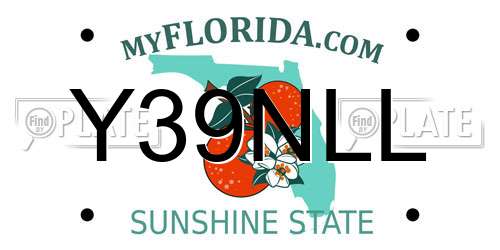 Y39NLL Florida License Plate