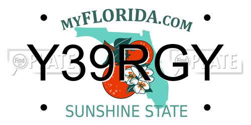 Y39RGY Florida License Plate