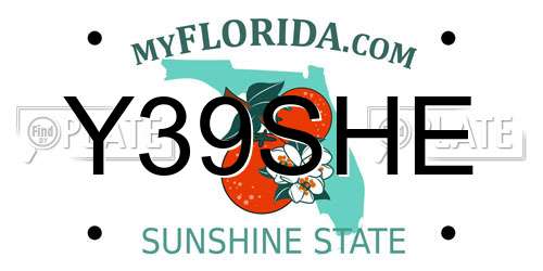 Y39SHE Florida License Plate