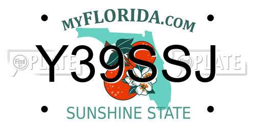 Y39SSJ Florida License Plate