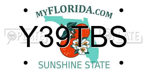 Y39TBS Florida License Plate