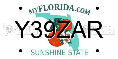 Y39ZAR Florida License Plate