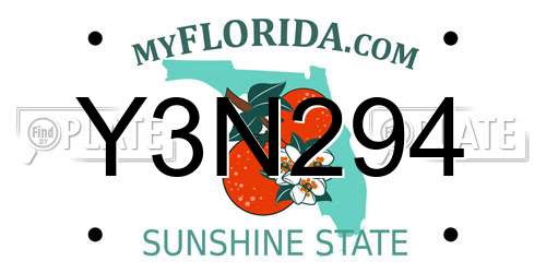 Y3N294 Florida License Plate