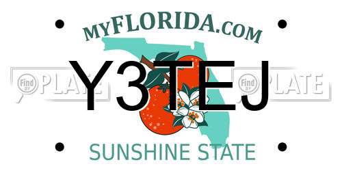 Y3TEJ Florida License Plate