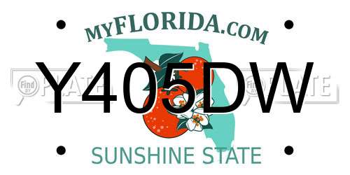 Y405DW Florida License Plate