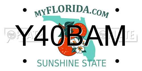 Y40BAM Florida License Plate