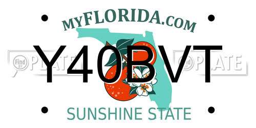 Y40BVT Florida License Plate