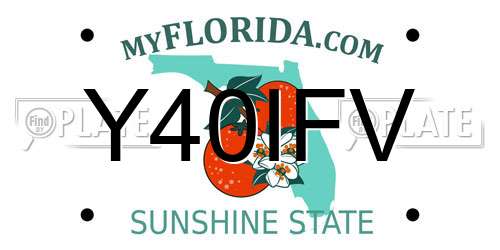 Y40IFV Florida License Plate