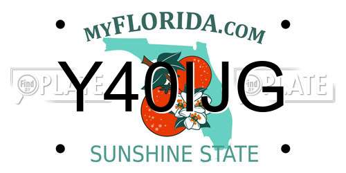 Y40IJG Florida License Plate