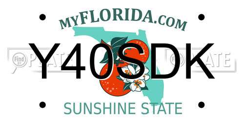 Y40SDK Florida License Plate