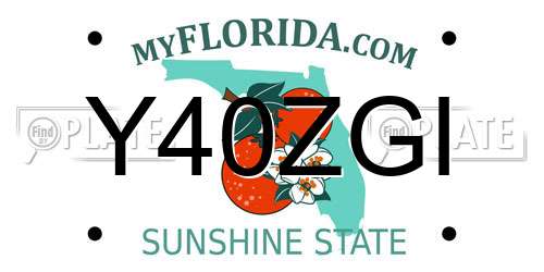 Y40ZGI Florida License Plate