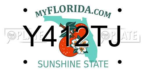 Y412TJ Florida License Plate