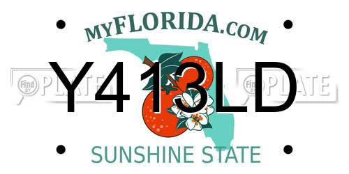 Y413LD Florida License Plate