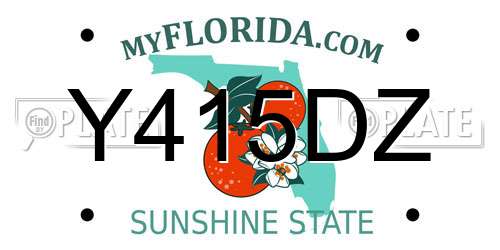 Y415DZ Florida License Plate