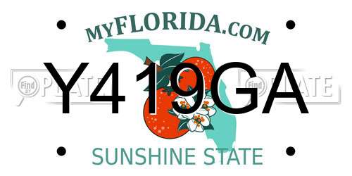 Y419GA Florida License Plate