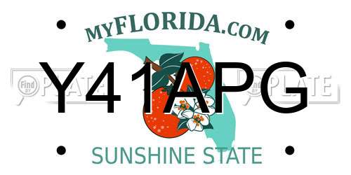 Y41APG Florida License Plate