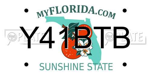 Y41BTB Florida License Plate